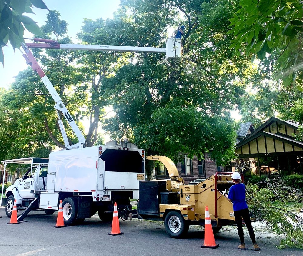 Acme Tree Service - tree service in Commerce City, CO