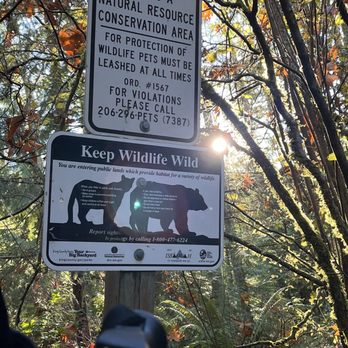 Tiger Mountain State Forest - Hopefully the bears are hibernating lol - Parks Near Me - Snoqualmie, Washington