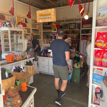 George - Pet Stores Near Me - Santa Barbara, California George - Pet Stores Near Me - Santa Barbara, California