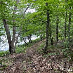 Masonic Youth Camp - Hiking trails abound