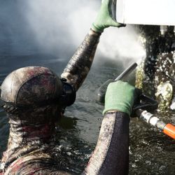 Barnacle Solutions