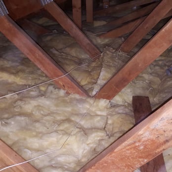Ecoskan Pest Solutions - Attic cleanup. Worth the extra cost! - Pest Control Near Me - Redlands, California