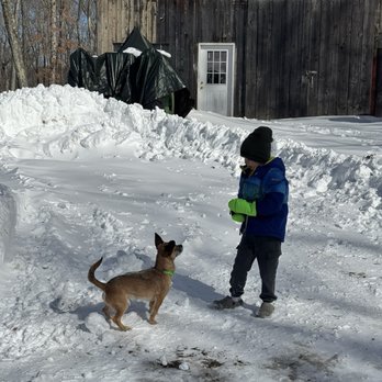 Animal Rescue Foundation - A boy and his dog. - Animal Shelters Near Me - Terryville, Connecticut Animal Rescue Foundation - A boy and his dog. - Animal Shelters Near Me - Terryville, Connecticut