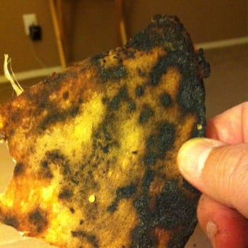 Spuntino Pizzeria - Underside of leftover pizza. Yuck. - Italian Near Me - Temecula, California Spuntino Pizzeria - Underside of leftover pizza. Yuck. - Italian Near Me - Temecula, California