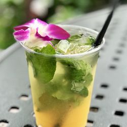 Off the Hook - Mango Mojito