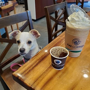 Kai Coffee - Mac Nut Frappe large size. Sample coffee of the day. Leilani is the dog seen in this photo. - Coffee & Tea Near Me - Honolulu, Hawaii Kai Coffee - Mac Nut Frappe large size. Sample coffee of the day. Leilani is the dog seen in this photo. - Coffee & Tea Near Me - Honolulu, Hawaii