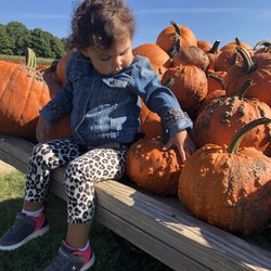 Spieker's Pumpkin Farm