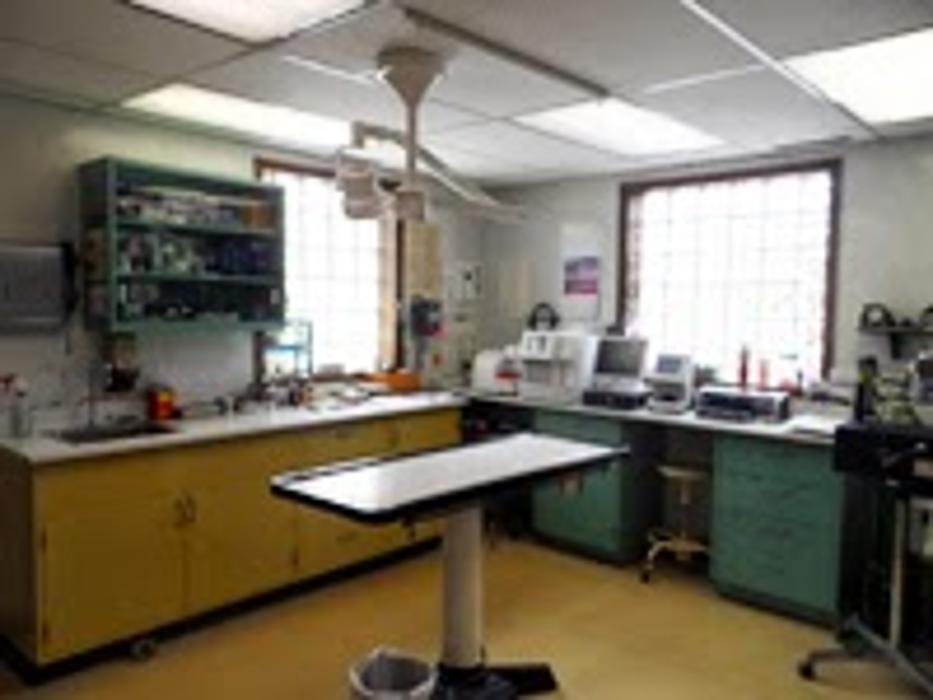 OLEAN VETERINARY CLINIC Updated October 2024 1620 W State St, Olean