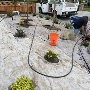 Yardworks - Installing front yard irrigation - Tree Services Near Me - San Jose, California