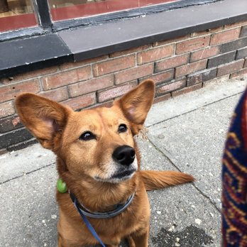 Tuckerbox - Enjoying perfect patio weather w my pup and a glass of Turkish wine! - Coffee & Tea Near Me - White River Junction, Vermont Tuckerbox - Enjoying perfect patio weather w my pup and a glass of Turkish wine! - Coffee & Tea Near Me - White River Junction, Vermont