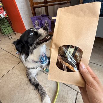 Expert Pet - Pet Stores Near Me - San Francisco, California