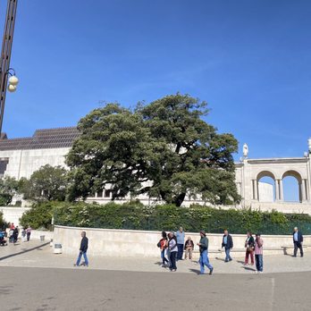 Fatima - The tree is the only existing portion of Fatima where the kids saw the apparition.  This was all fields before - Tours Near Me - Cova da Iria - Fátima, 20