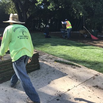 Quinones Tree Service - Tree Services Near Me Quinones Tree Service - Tree Services Near Me