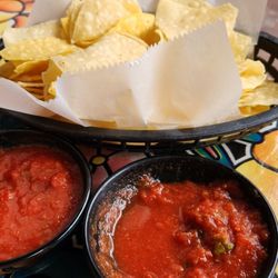 Jose Muldoon's