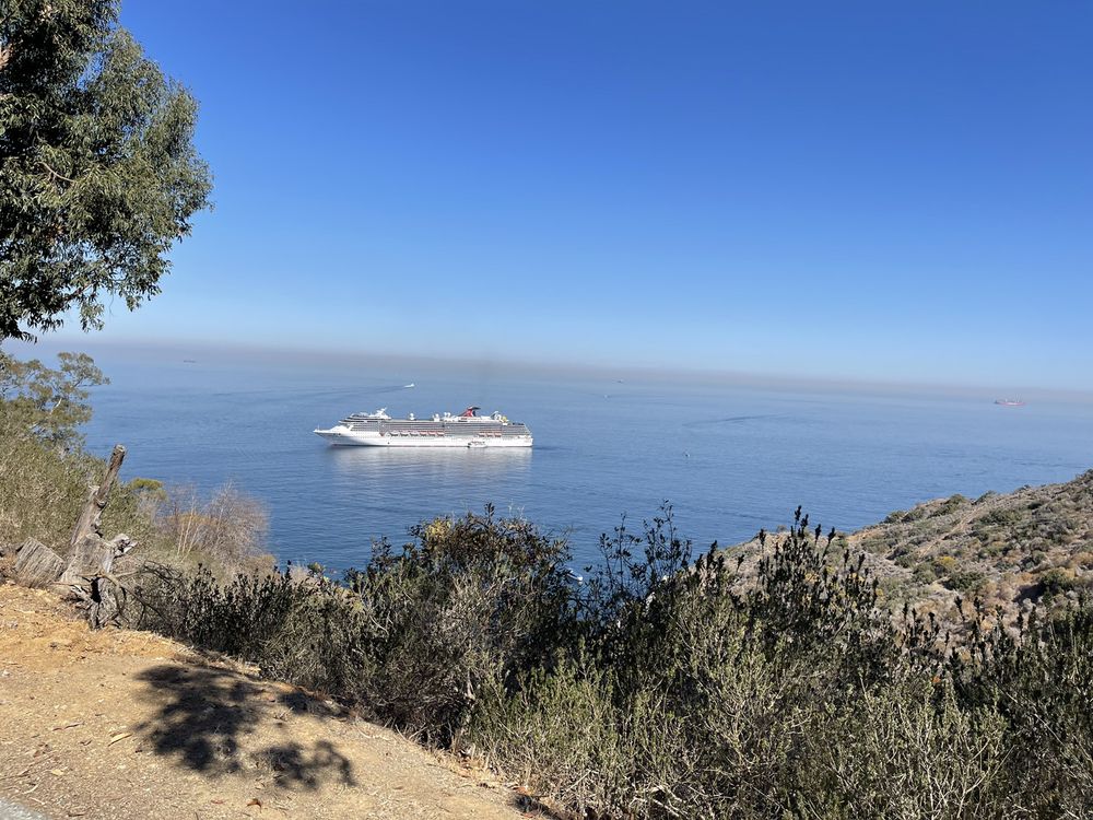 CARTOPIA GOLF CART RENTAL 101 Photos & 166 Reviews 625 Crescent Ave