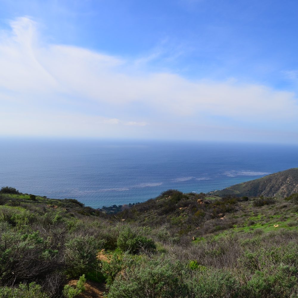 Charmlee Wilderness Park - Also views from the Russell Trail. - Parks Near Me - Malibu, California