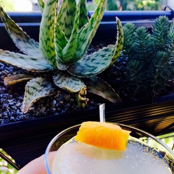 Gibson Street Bar - Beautiful outdoor seating with gorgeous succulents  Great spot to enjoy these breezy evenings. - Bars Near Me - Austin, Texas