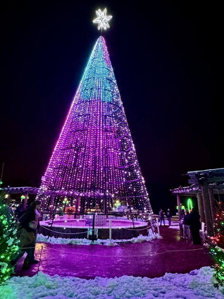 Social spots from Oglebay Festival of Lights