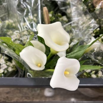 Lidl - 12/19/25 Gorgeous Calla Lillies - Grocery Near Me - Lincolnia, Virginia Lidl - 12/19/25 Gorgeous Calla Lillies - Grocery Near Me - Lincolnia, Virginia