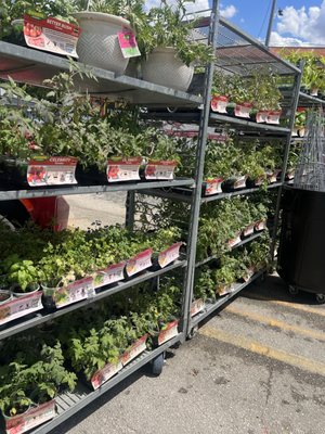 Moore's Feed & Seed Store