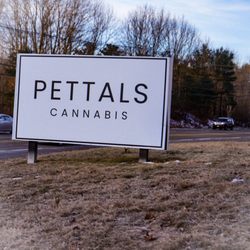 Pettals Cannabis