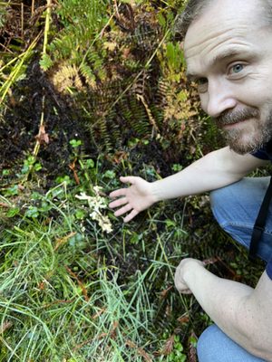 Pygmy Forest Discovery Trail by null