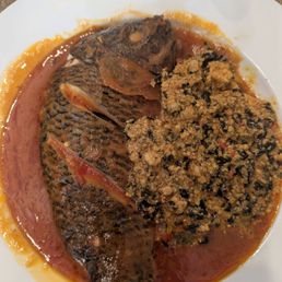 Tilapia