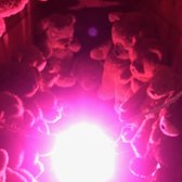 Photo of Forest Room 5 - Denver, CO, United States. Teddy bear room