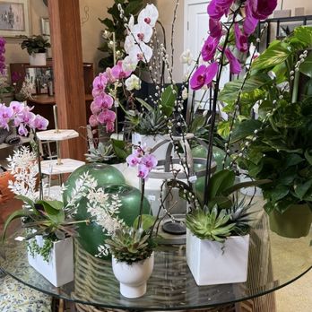 Garden District Super Foods - Inside plants - Juice Bars & Smoothies Near Me - Seal Beach, California