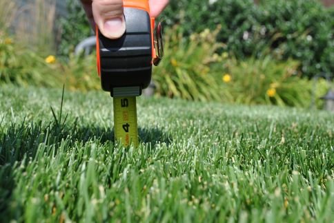 Texas Landscaping & Lawn Care - tree service in San Antonio, TX