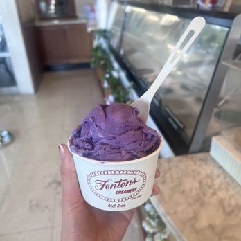 Fenton's Creamery - Ube Ice Cream - Ice Cream & Frozen Yogurt Near Me - Vacaville, California Fenton's Creamery - Ube Ice Cream - Ice Cream & Frozen Yogurt Near Me - Vacaville, California