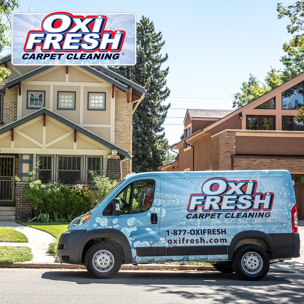 OXI FRESH CARPET CLEANING Updated October 2024 58 Photos & 87