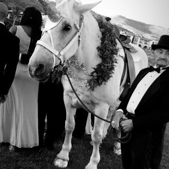 A Signature Wedding - Wedding Planning Near Me A Signature Wedding - Wedding Planning Near Me