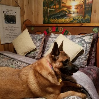 Moving Labor Tri-Cities - Movers Near Me