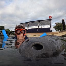 Manatee!