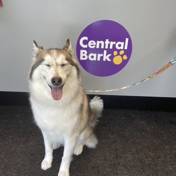 Central Bark Orlando East - Pet Groomers Near Me - Orlando, Florida Central Bark Orlando East - Pet Groomers Near Me - Orlando, Florida