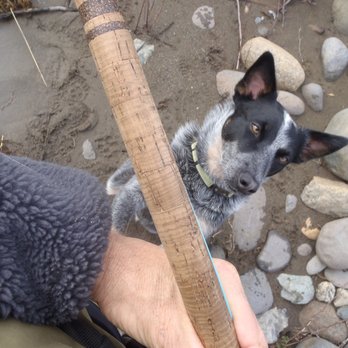 Erickson Veterinary Hospital - Catch of a lifetime. Stormy - Veterinarians Near Me - Chico, California Erickson Veterinary Hospital - Catch of a lifetime. Stormy - Veterinarians Near Me - Chico, California
