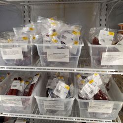 Ausable Market - Great Selection of Jerkies and Sticks
