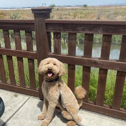 A happy boy. A happy boy.