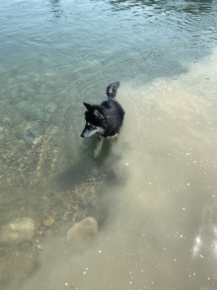 SOUTHSHORE VETERINARY SERVICE Updated July 2024 35768 S Hills Dr