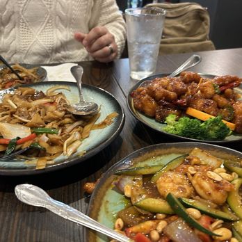 Dynasty Dumpling - Jung Kung Pao Shrimp Orange Chicken Noodl Beef Pan Fried Noodle B3. Vegetable Dumplings - Dim Sum Near Me - San Francisco, California