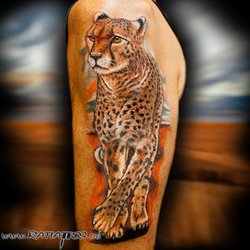 Rattattoo - realistischer Gepard Farbtattoo Rattattoo Freiburg
