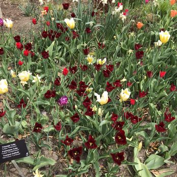 Edwards Gardens - Parks Near Me - North York, Ontario