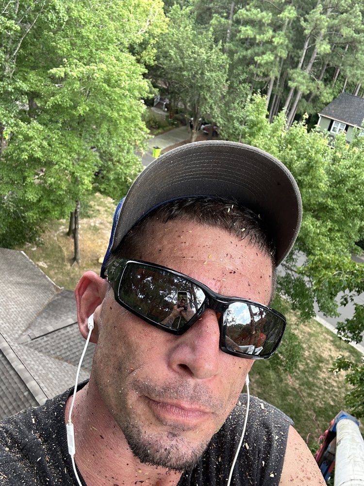 Parrish Tree Service - tree service in  Creedmoor , NC