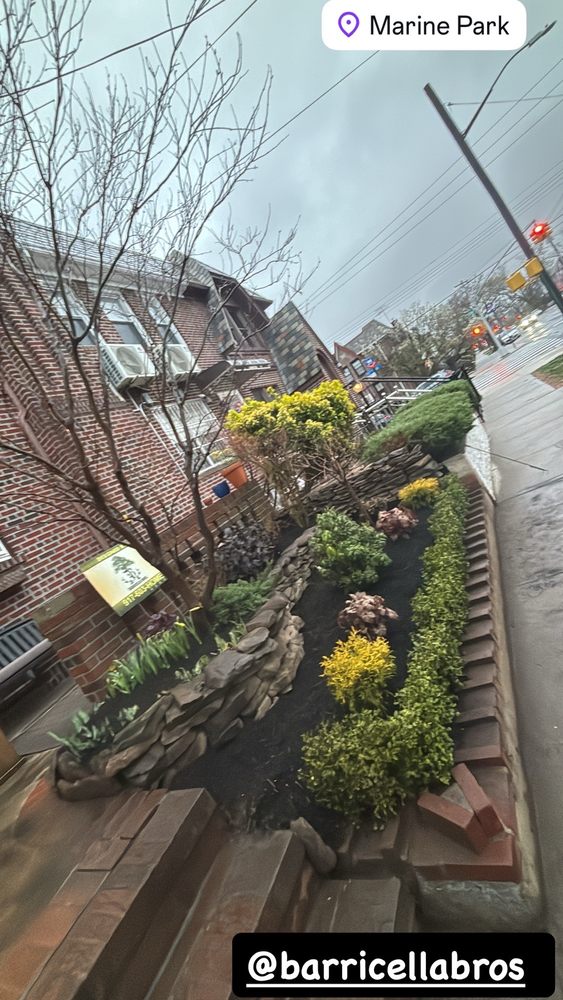 Barricella Bro's Landscaping & Tree Removal - tree service in Brooklyn, NY