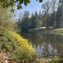 Snoqualmie Falls Golf Club Grill
