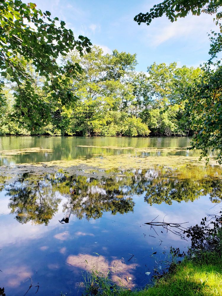 New Jersey State of - social services organization in Trenton, NJ