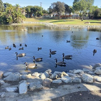 Scherer Park - Parks Near Me - Long Beach, California Scherer Park - Parks Near Me - Long Beach, California
