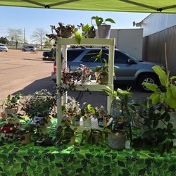 Colorado Springs Flea Market