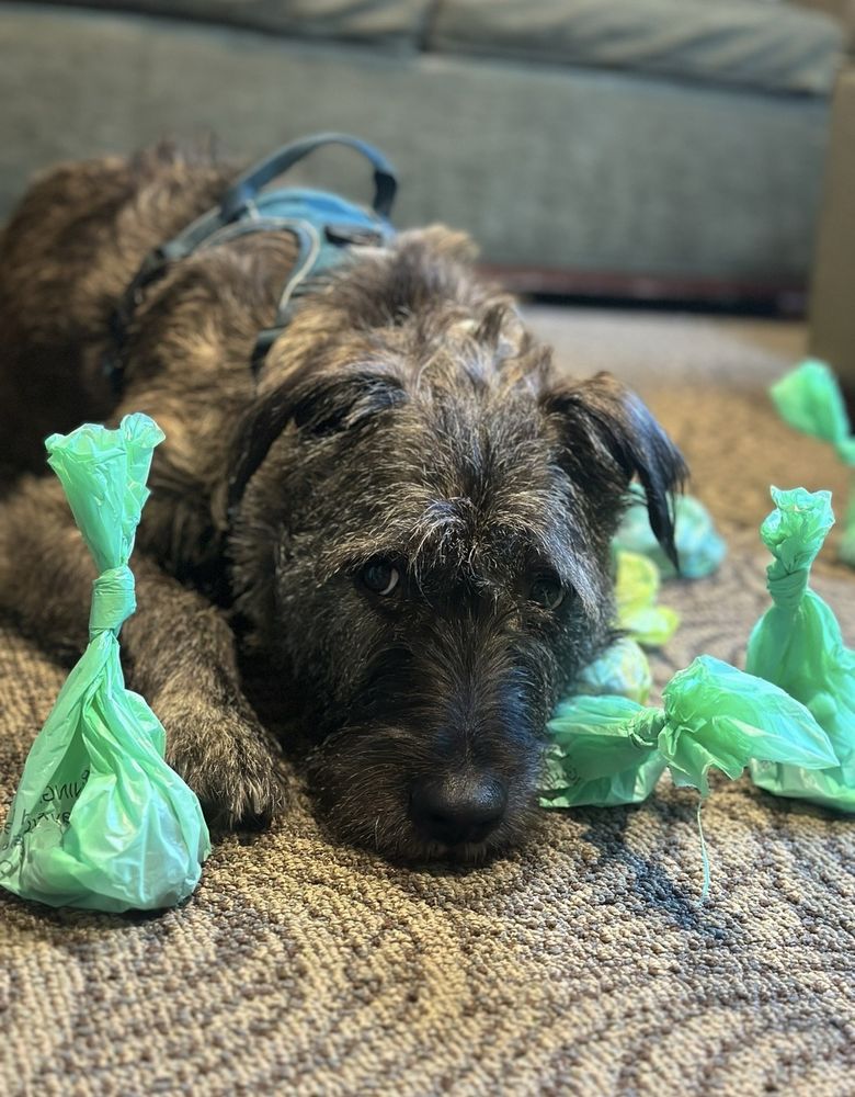 The Emily Program - St. Paul Anna Westin House for Adults - grief counselor in Saint Paul, MN